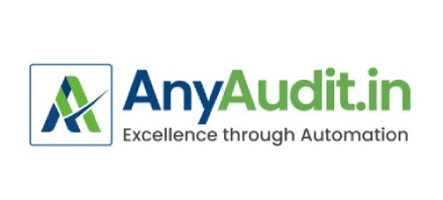 anyaudit